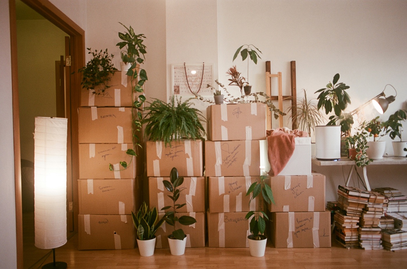 Moving boxes and belongings organized in a home